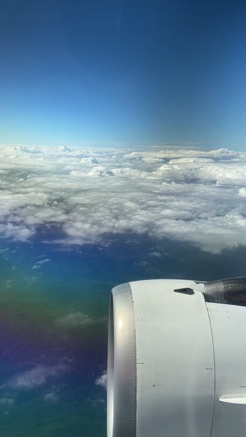 Window Plane View