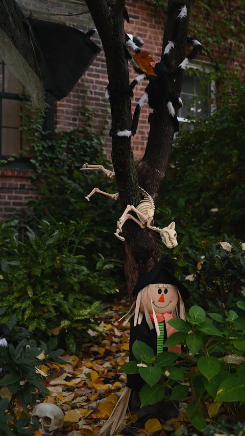 Tree With Halloween Decoration