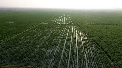 Aerial View of Farm Fields