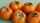 persimmon