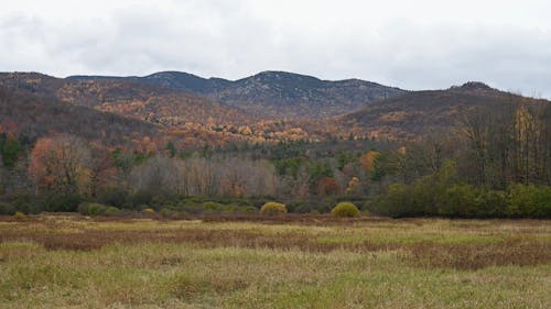 Landscape of Mountains in Autumn 