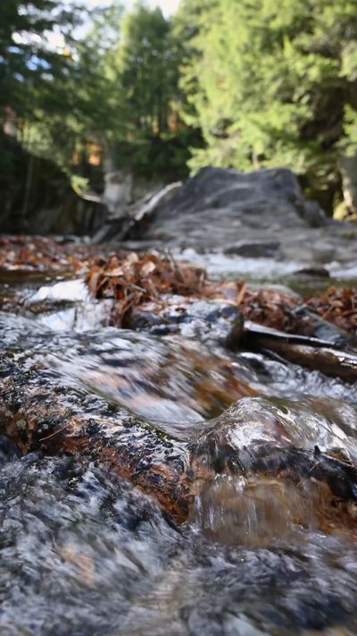 Marta Wave's nature timelapse video
