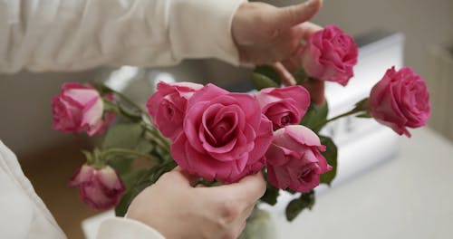 Pink Roses in a Vase