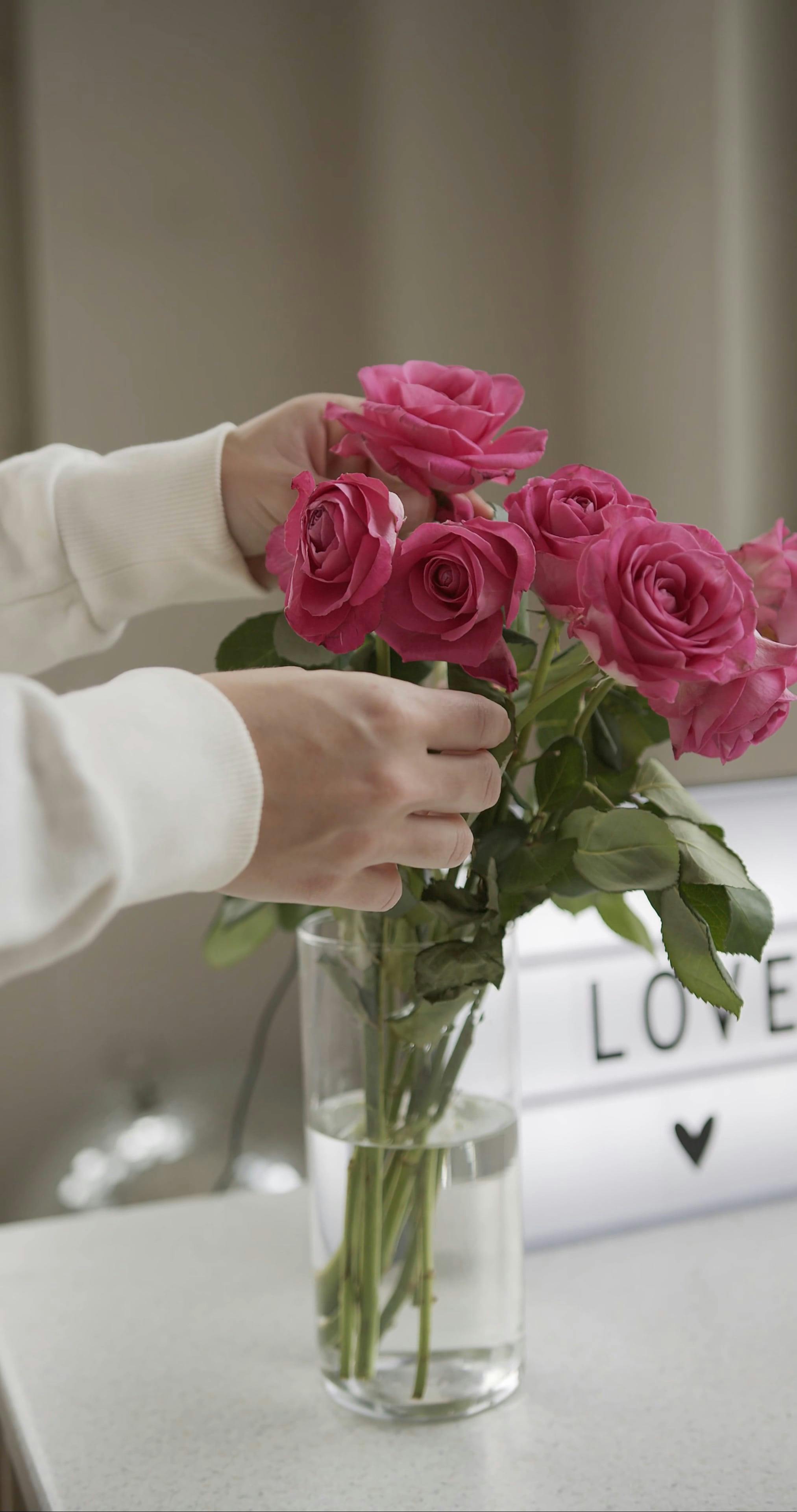 Person Arranging Flowers in a Vase · Free Stock Video