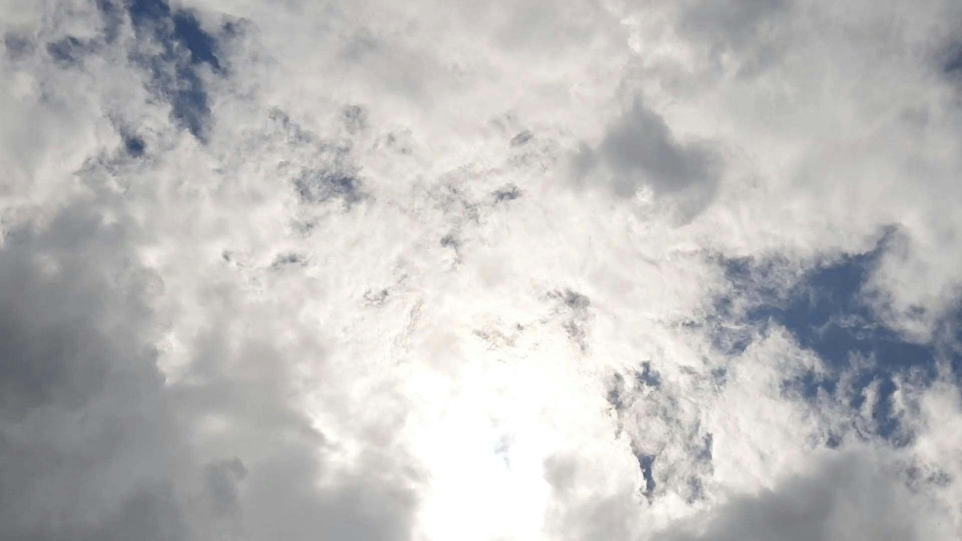 pexels-photo-5880120.jpeg?cs=srgbu0026dl