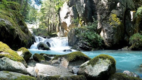 Beautiful Forest Cascade