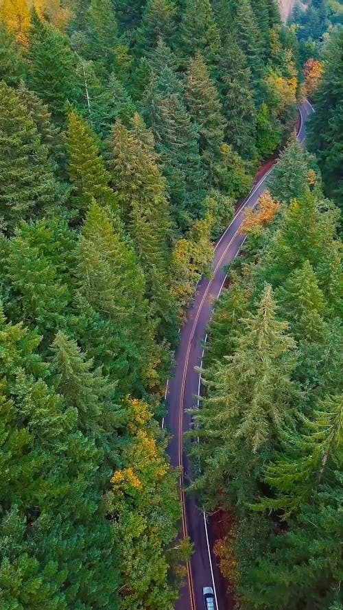 Aerial Footage of a Road