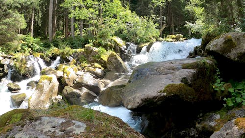 Water Flowing on Rocks