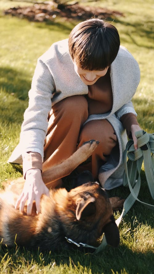 Dog Eating Grass Free Stock Video Footage, Royalty-Free 4K & HD Video Clip Dog Eating Grass Free Stock Video Footage, Royalty-Free 4K & HD Video Clip