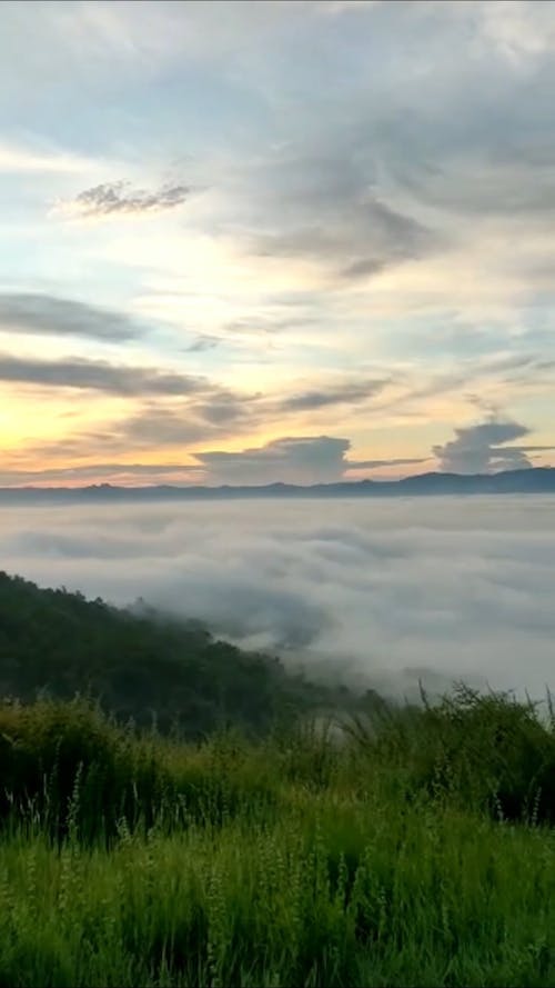 A View from Mountain Peak