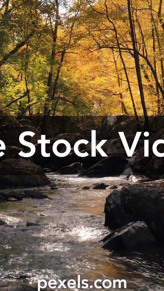 Free Stock Videos of Vertical, Stock Footage in 4K and Full HD