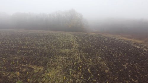 Drone Footage of Agricultural Land Under a Foggy Weather