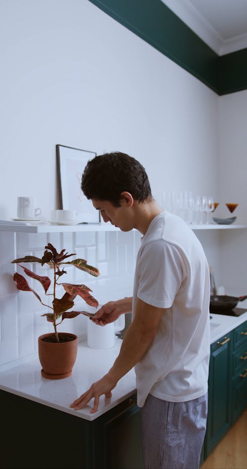 Man Watering an Indoor Plant
