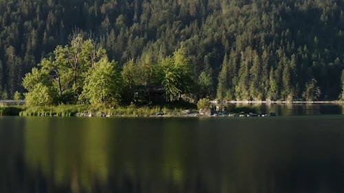 Drone Footage of a Lake and Trees