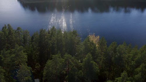 An Aerial Footage of a Lake