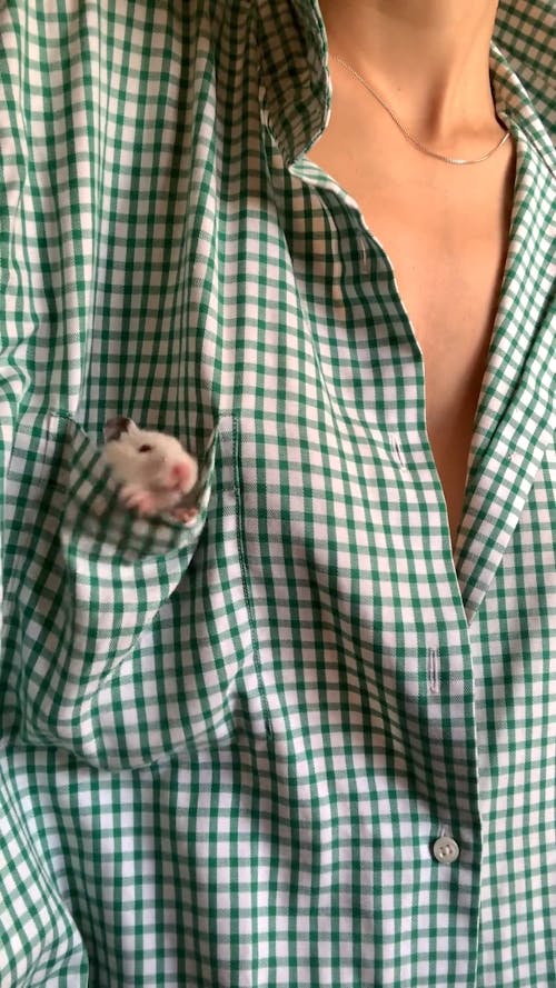 A Mouse in the Breast Pocket of a Shirt