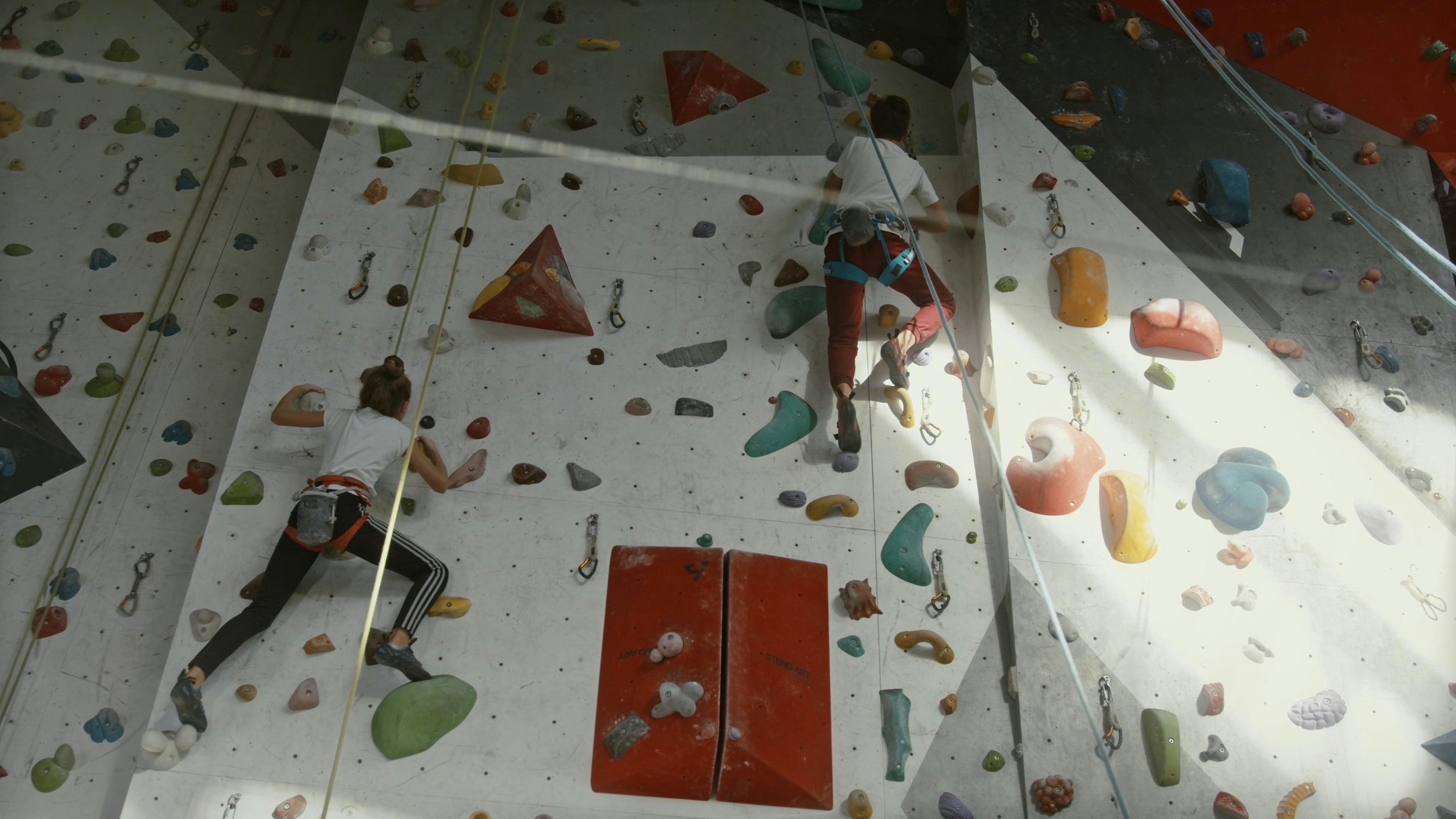 Exercise Gym Girl And Boy Videos, Download The BEST Free 4k Stock Video