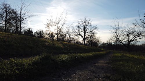 A View of the Grass field