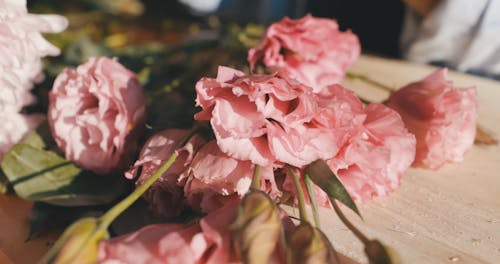 A Close Up Shot of Pink Flowers