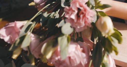 Close-Up Video Of Delicate Flowers