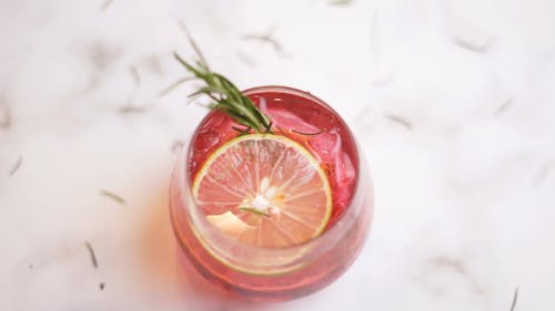 Cocktail Drink with Lemon Slice