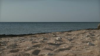 海边免费下载免费下载高清视频高清视频视频素材