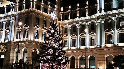 Luminous Christmas Tree in London Street