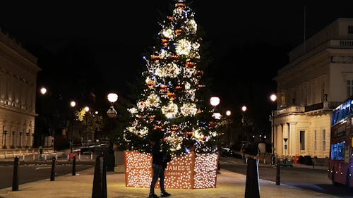 Illuminated Christmas Tree at Saint James Square