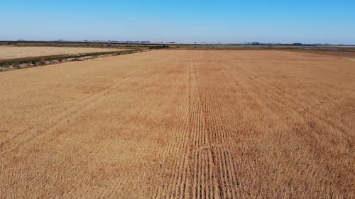 Aerial Footage of a Field in Harvest Time 