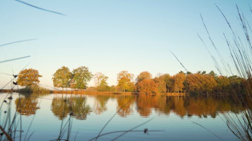 A Calm Lake