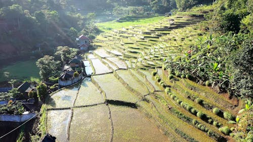 Drone Footage of Rice Terraces