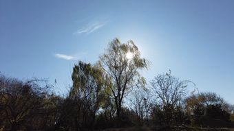 高清实拍视频素材高清视频视频素材视频素材