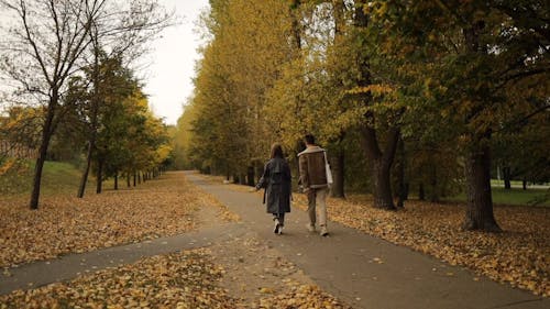 People Walking Together in the Park