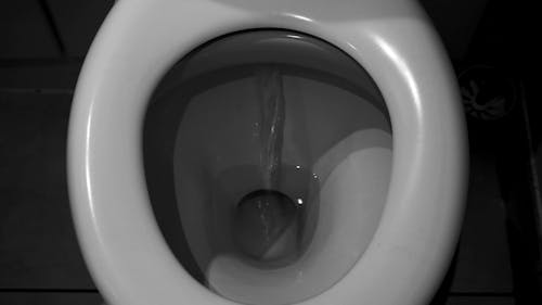Flushing The Toilet Bowl