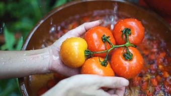 洗菜高清视频视频素材免费下载视频素材视频素材