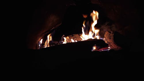 Close-up Footage Of Burning Fire Woods