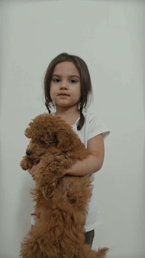 Little Girl Holding a Toy Poodle