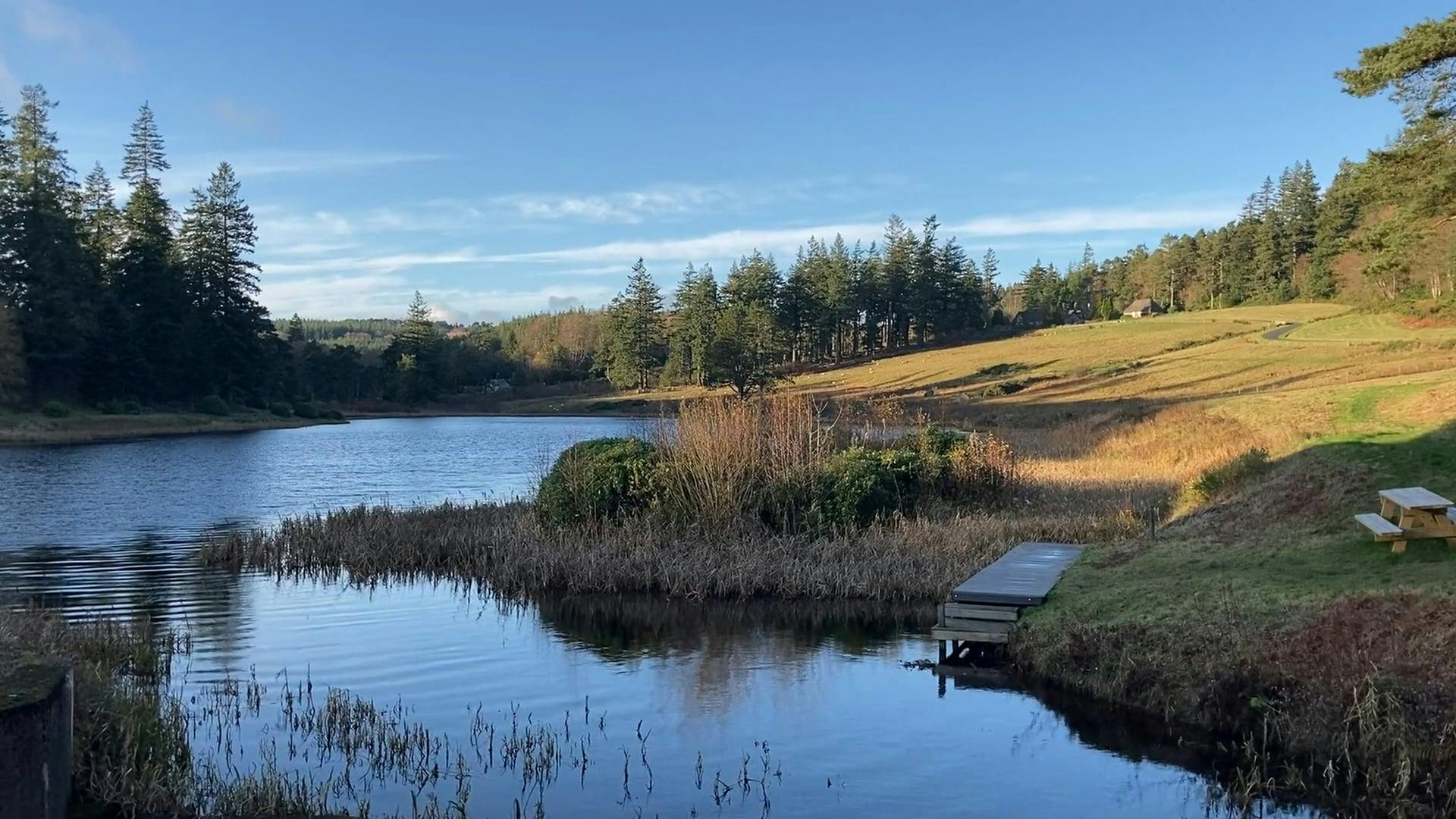 Video by Ralph Bossingham