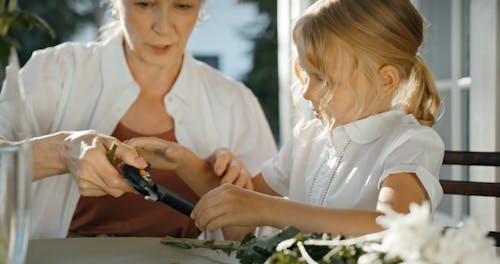 Girl Cutting Stem of Flowers with an Elderly Woman