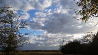 风景养生免费下载视频素材