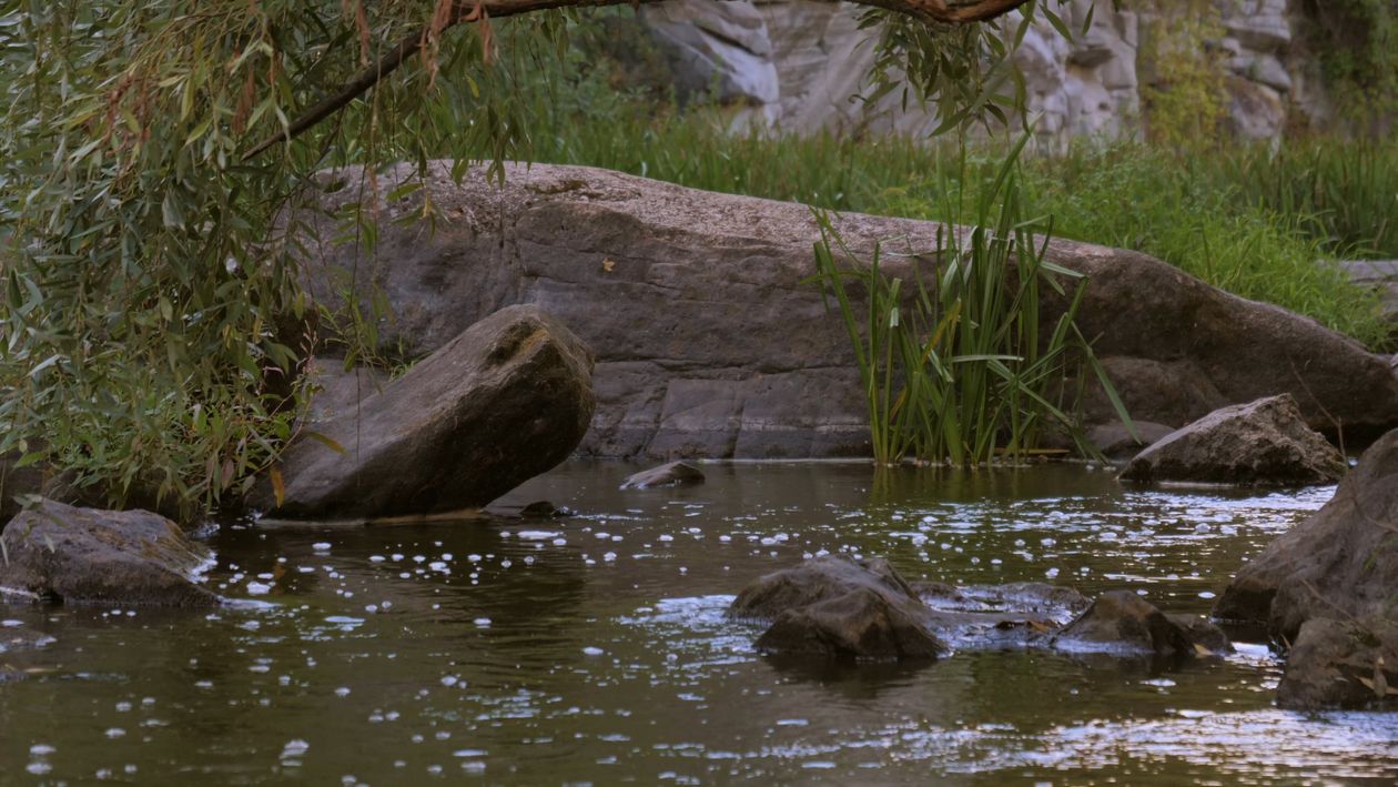 Low Angle Shot of a River Flowing Free Stock Video Footage, Royalty ...