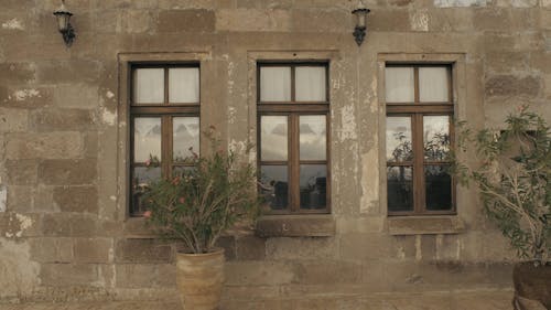 Potted Plants Beside Wooden Windows