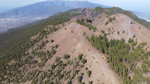 Drone Footage of the Mountain Ranges and the Forest