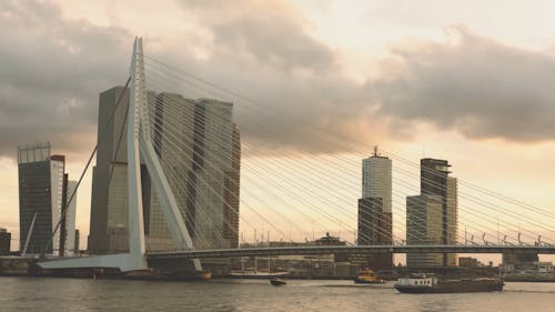 View of Erasmusbrug Bridge Rotterdam