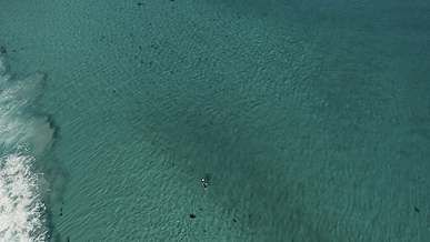 drone shot of a surfer surfboarding in the blue ocean