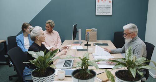 A Group of People Meeting in an Office 