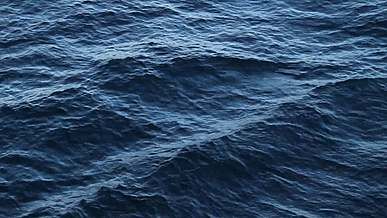close up shot of water in the ocean