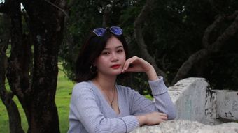 视频素材预览