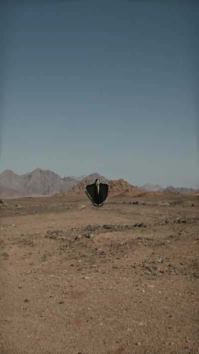 Tima Miroshnichenko's fantasy landscape cinematic video