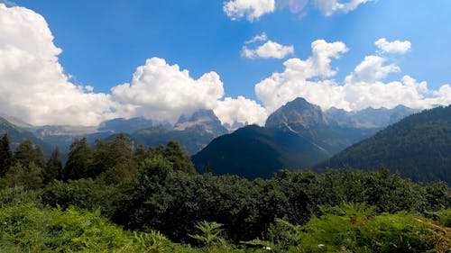 A Calm View to the Mountains